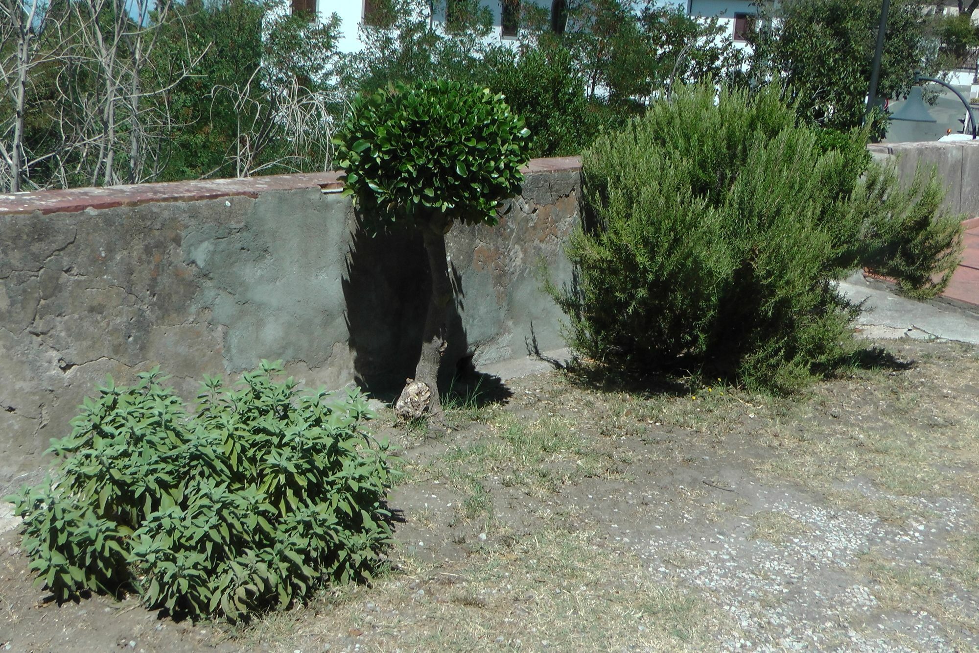 Ferienhaus Villa Della Querceta Livorno Kültér fotó